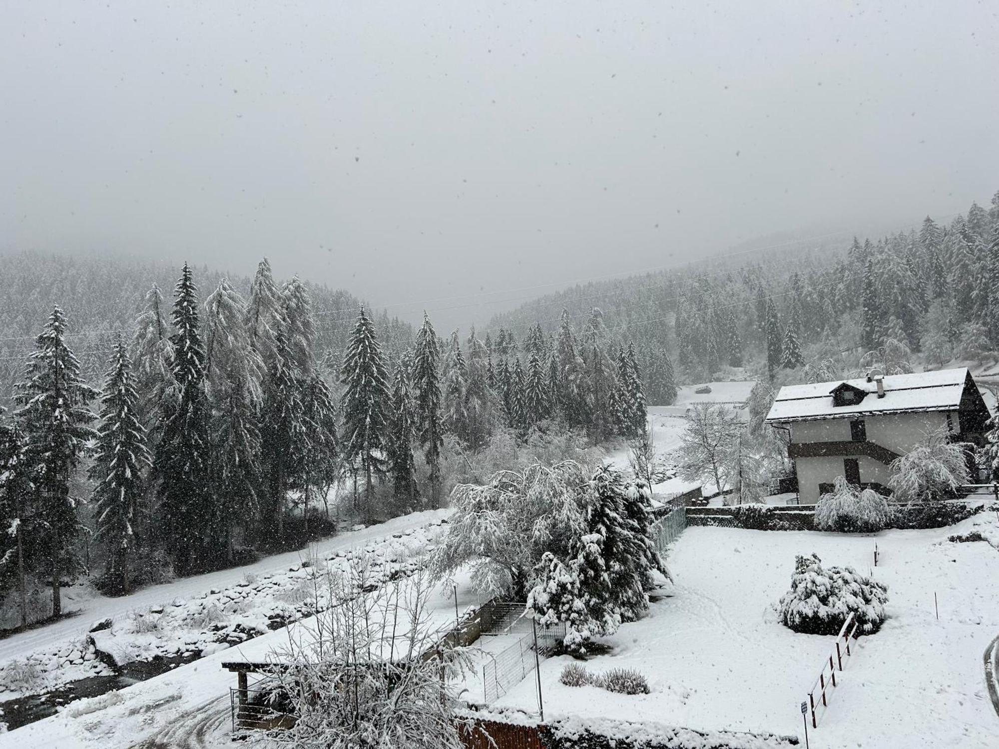 Dolomia Apartments & Spa Dimaro Exteriör bild