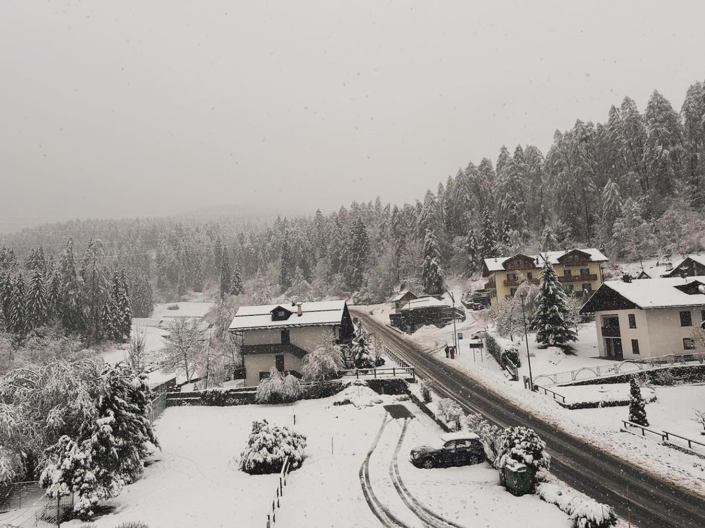 Dolomia Apartments & Spa Dimaro Exteriör bild